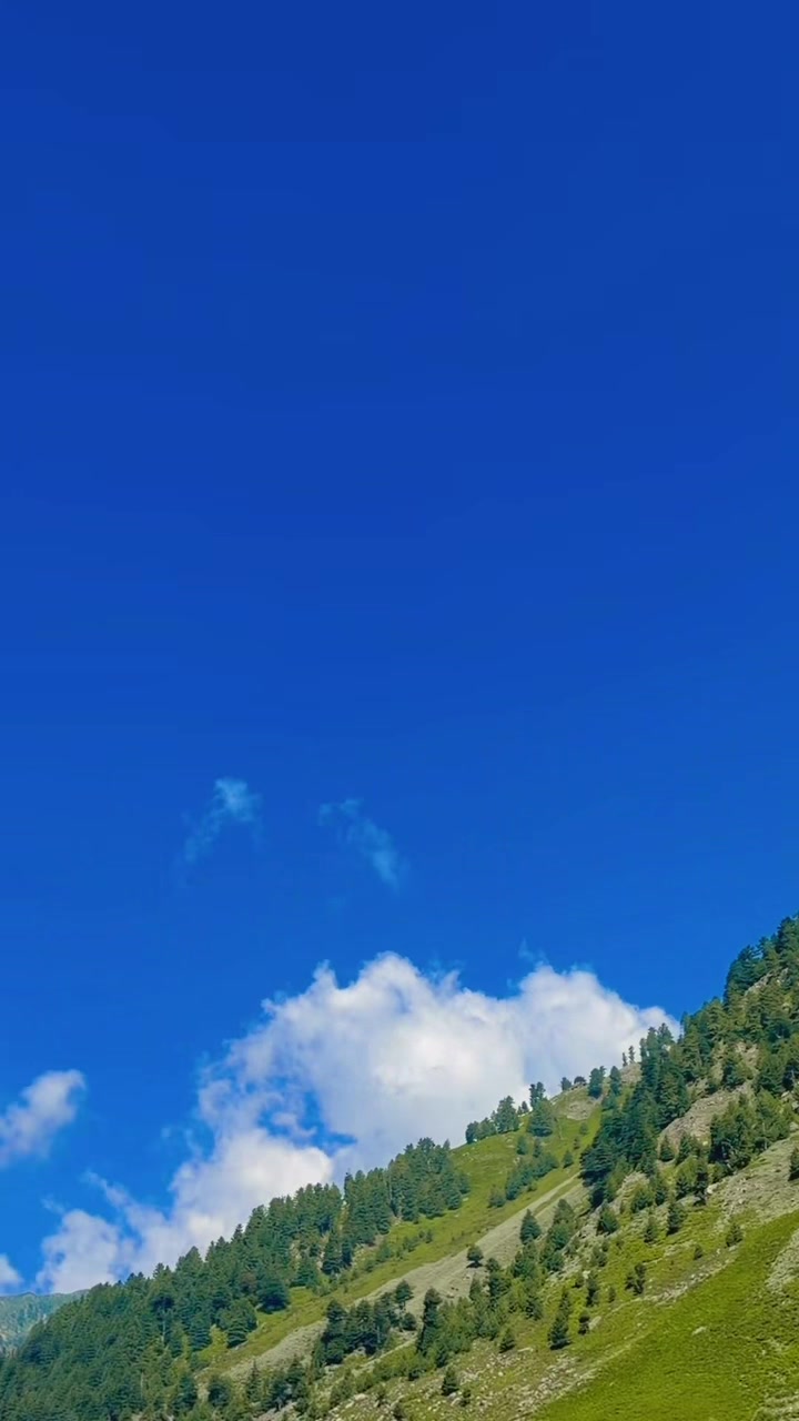 @Muradkhan6969