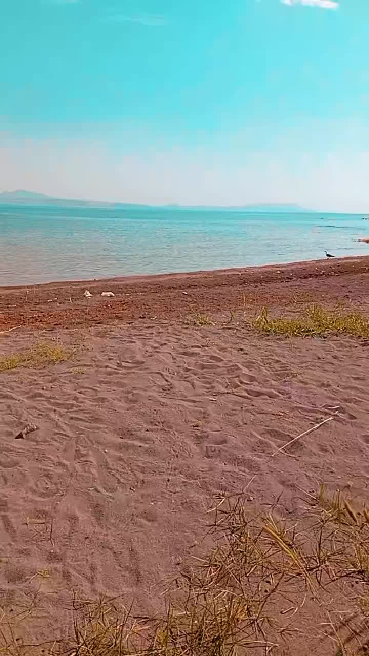@El Nurdo Aşireti
