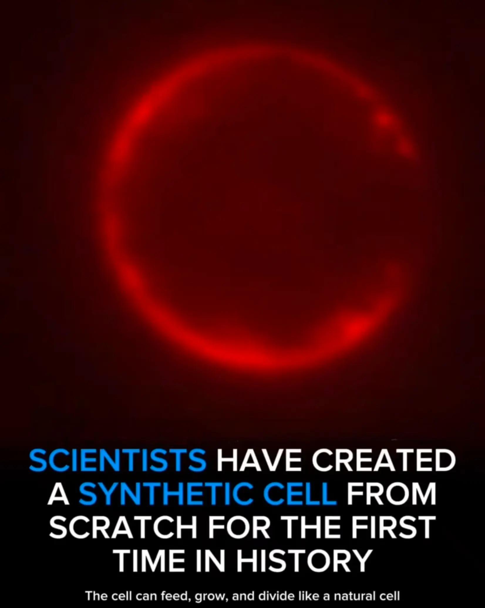@spacefever