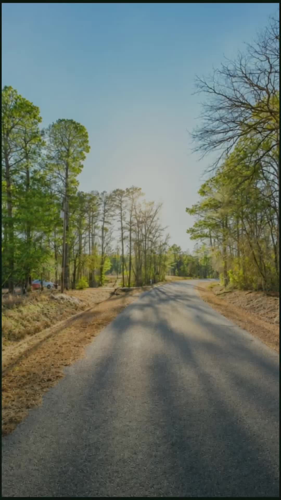 @LandCentury