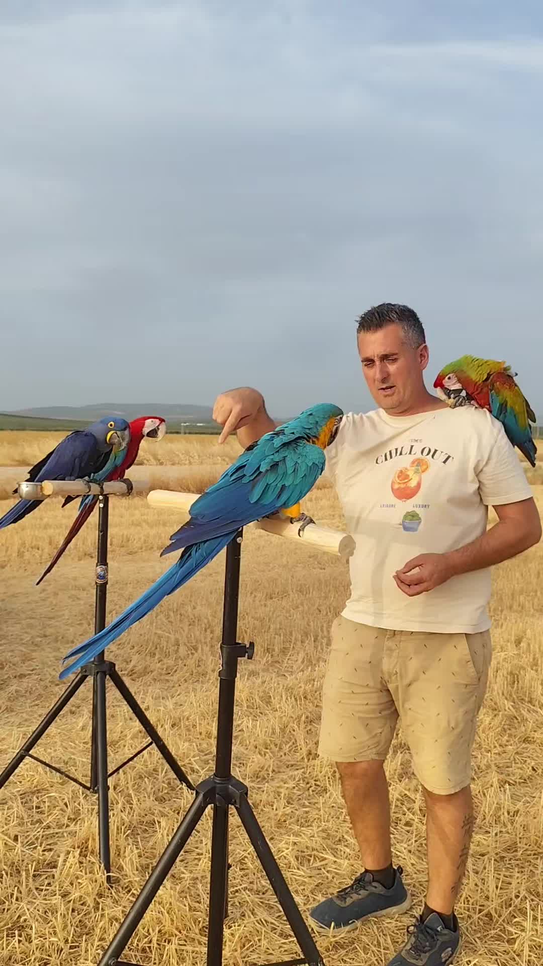 @TODO LOROS