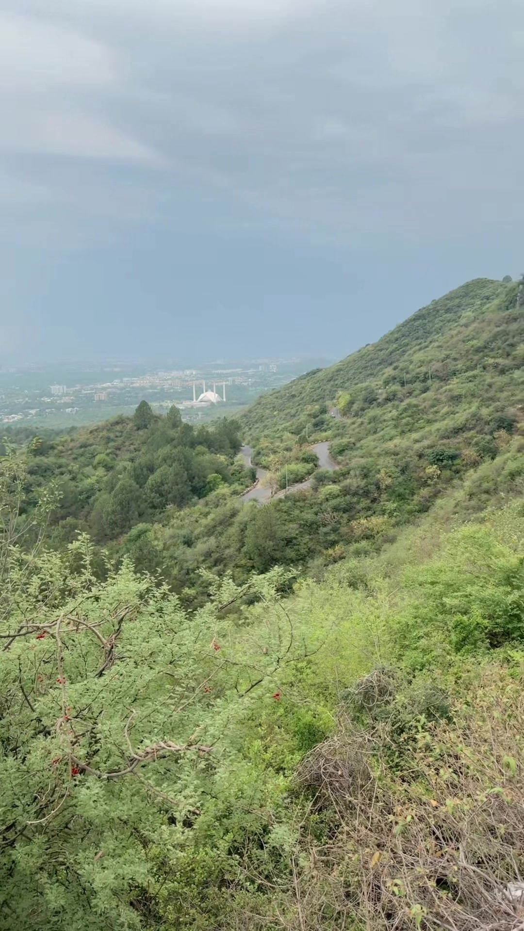 @Tufailkhan-offichal