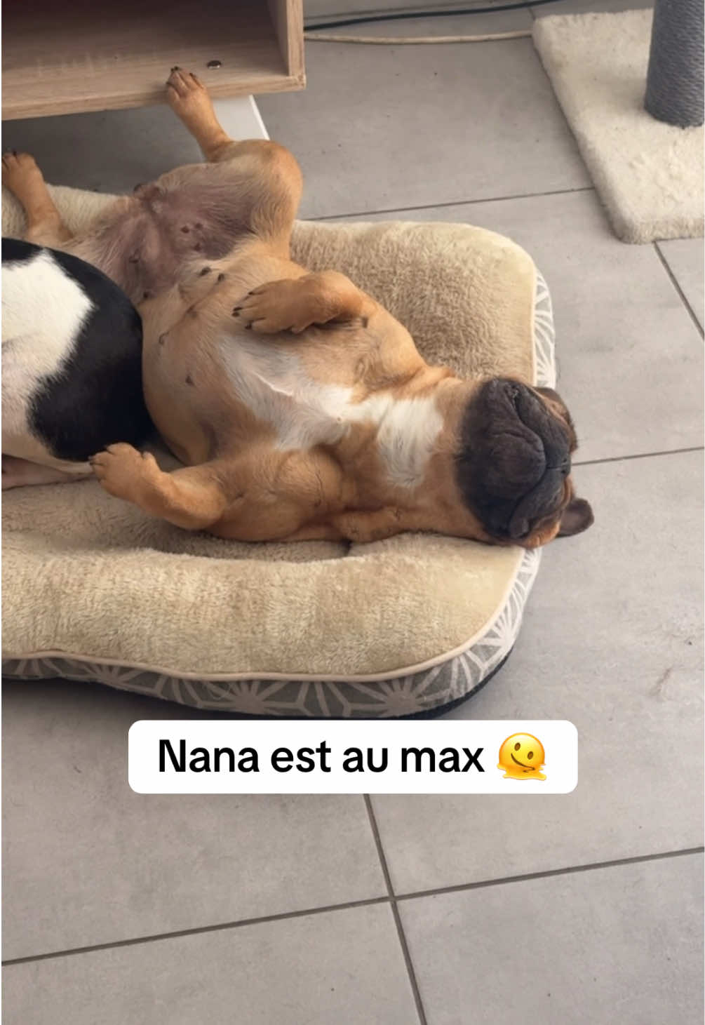 @Alex_dsz