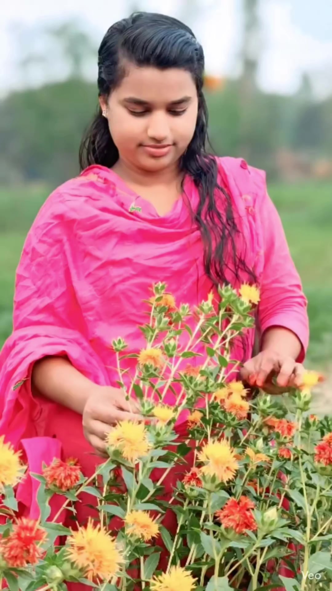 @💚❤️&zwj;🩹💙কালো পরী💚❤️&zwj;🩹💙