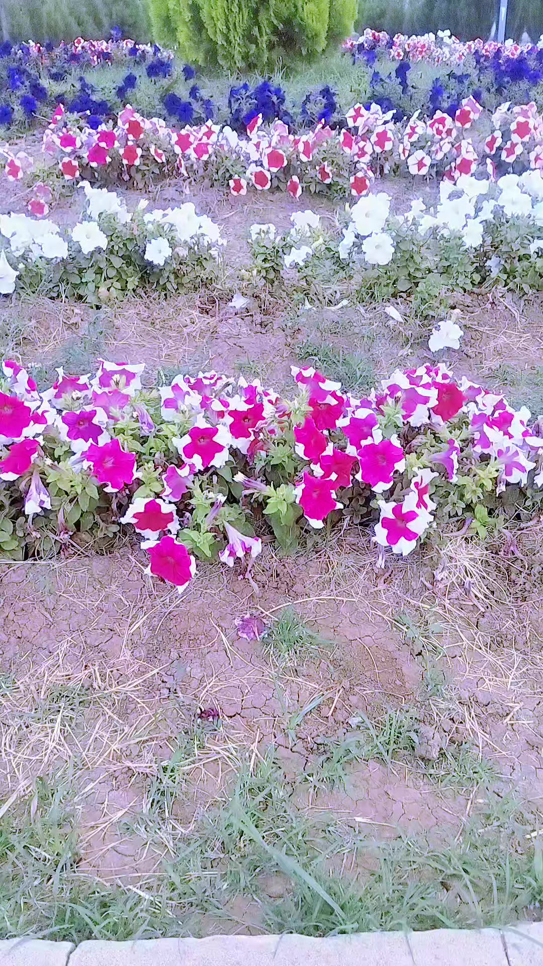 @YARIM QALAN ARZULAR