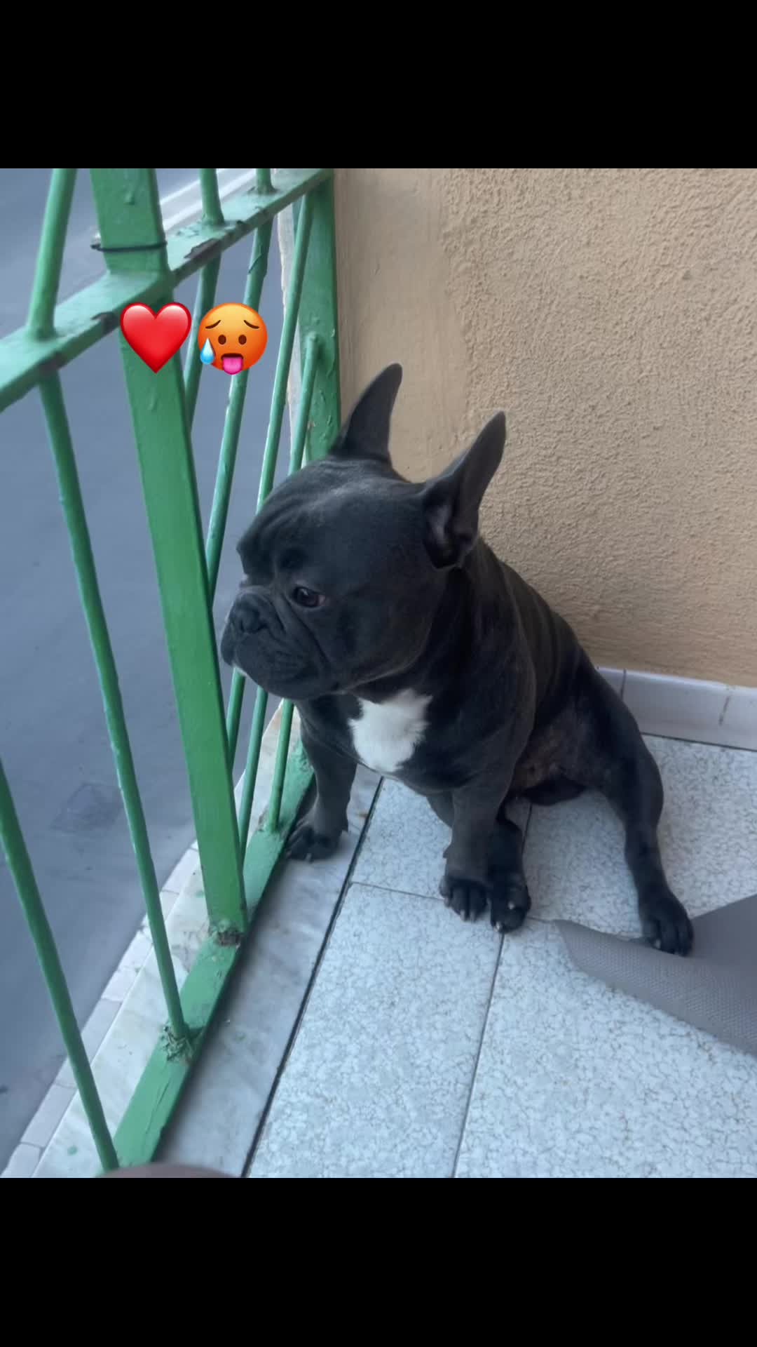 @sasa_scariiglia18