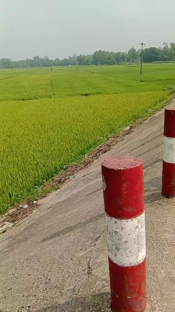 @বাবার রাজ কন্যা,👰❤️💗💯