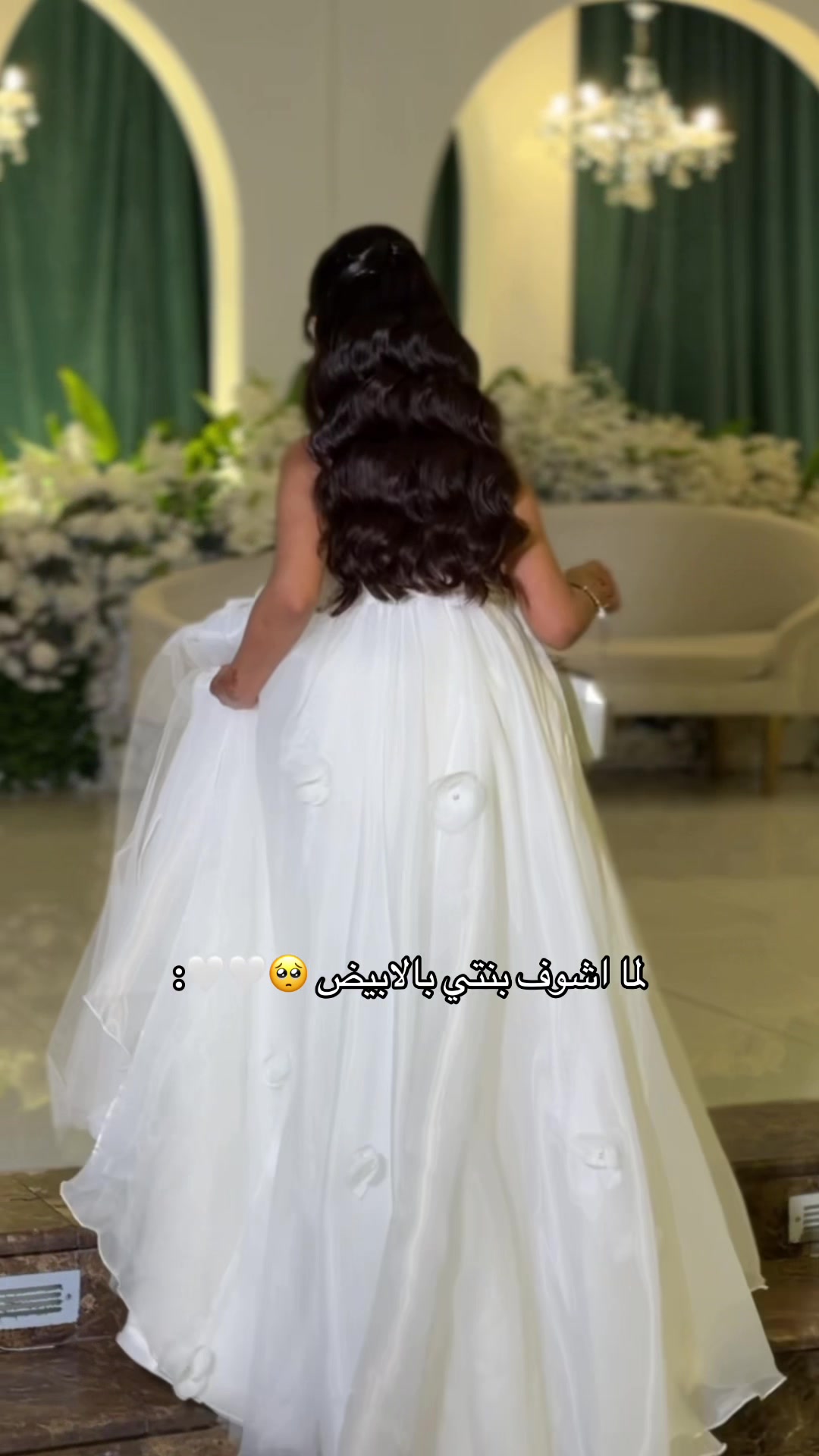 @اميرة احمد