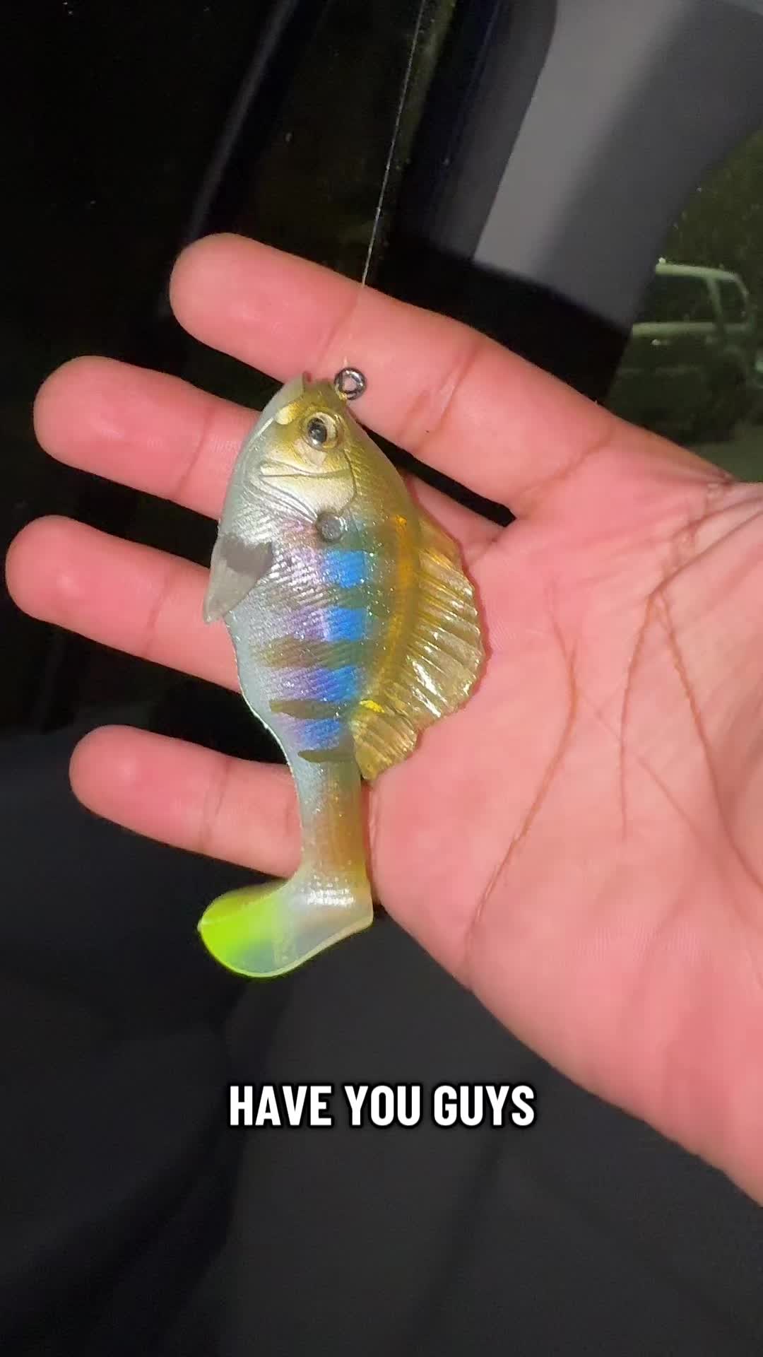 @Cujo Catches
