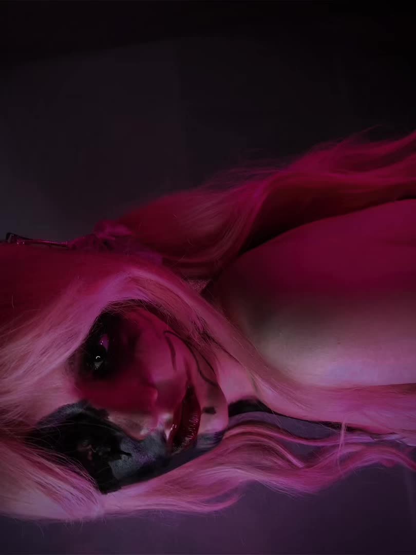 @stellarainecos