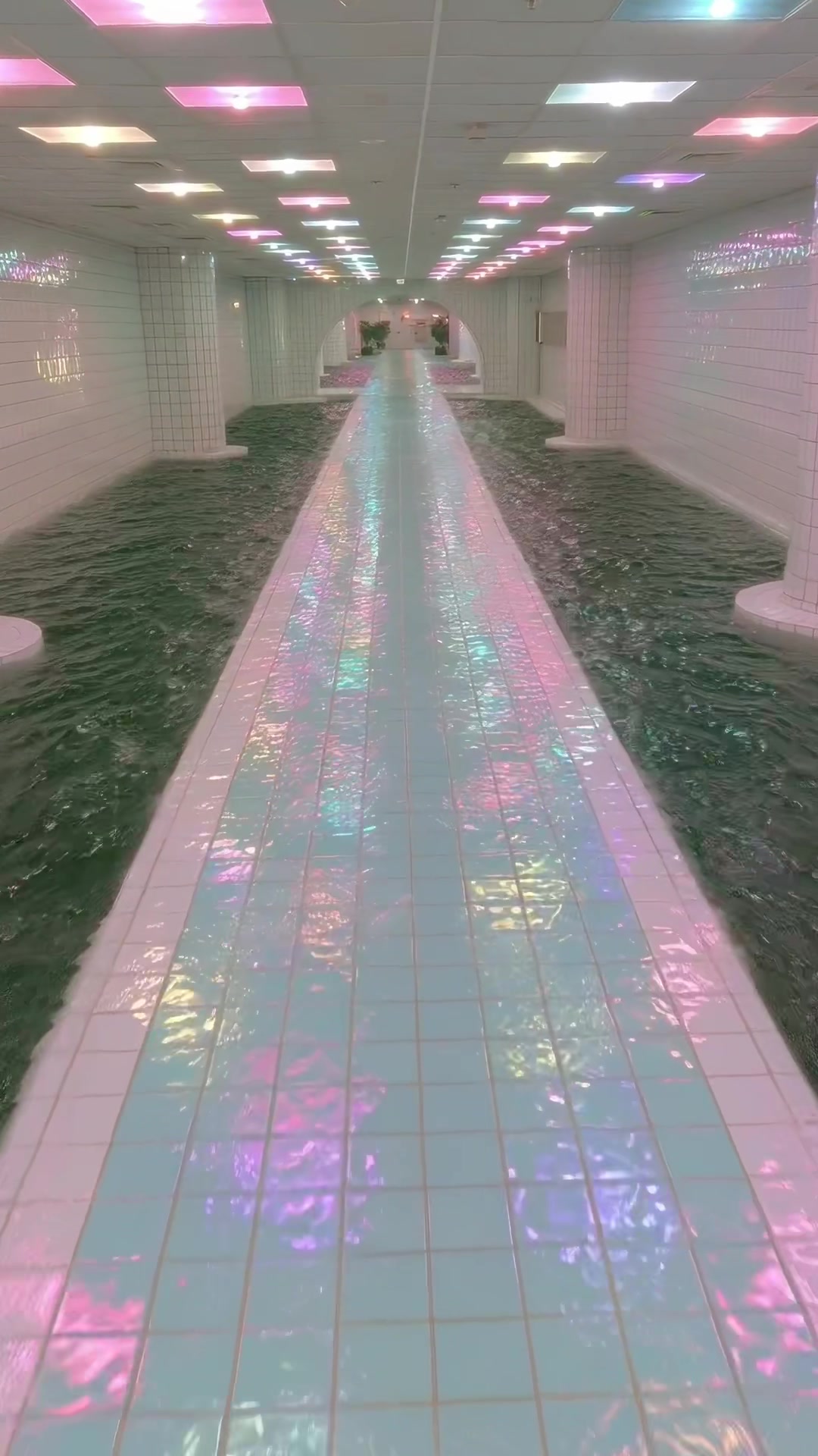 @𝐅𝐞𝐯𝐞𝐫𝐃𝐫𝐞𝐚𝐦𝐞𝐫