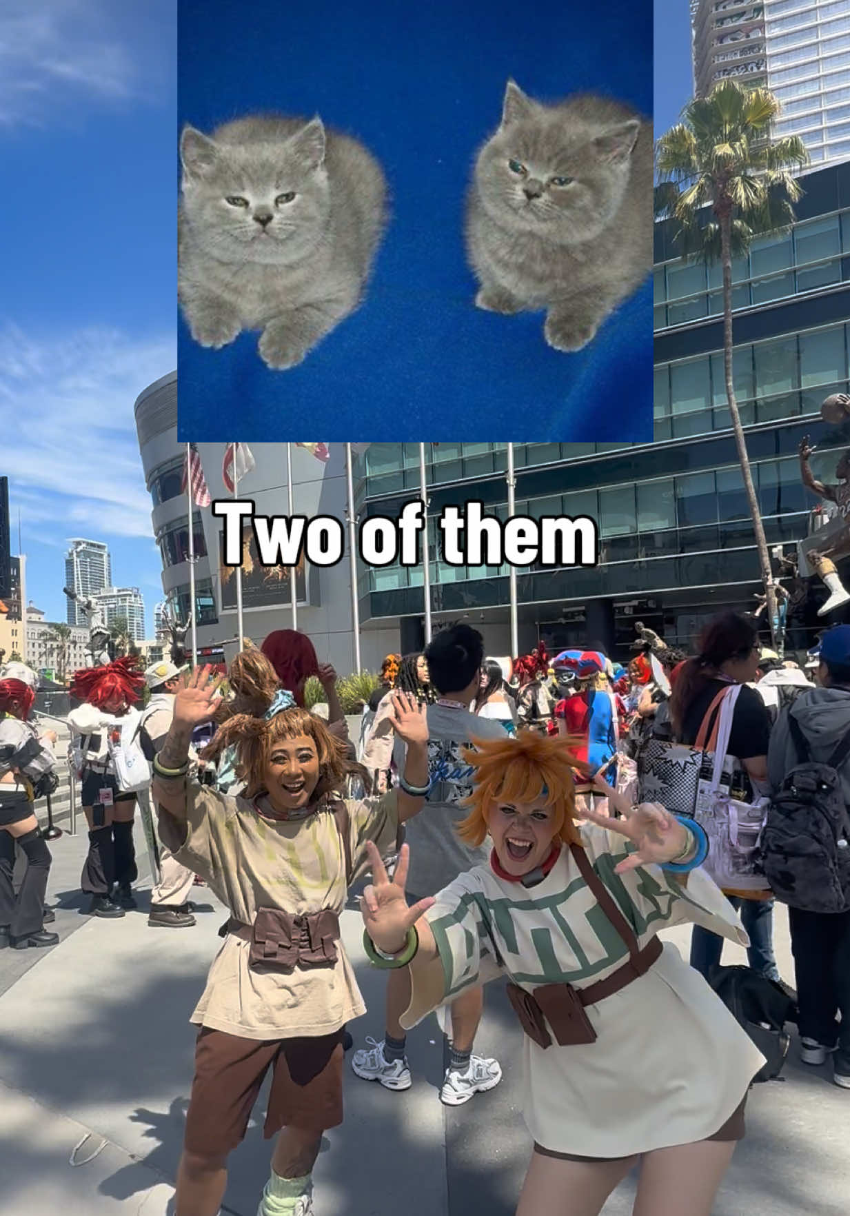@BBsmols