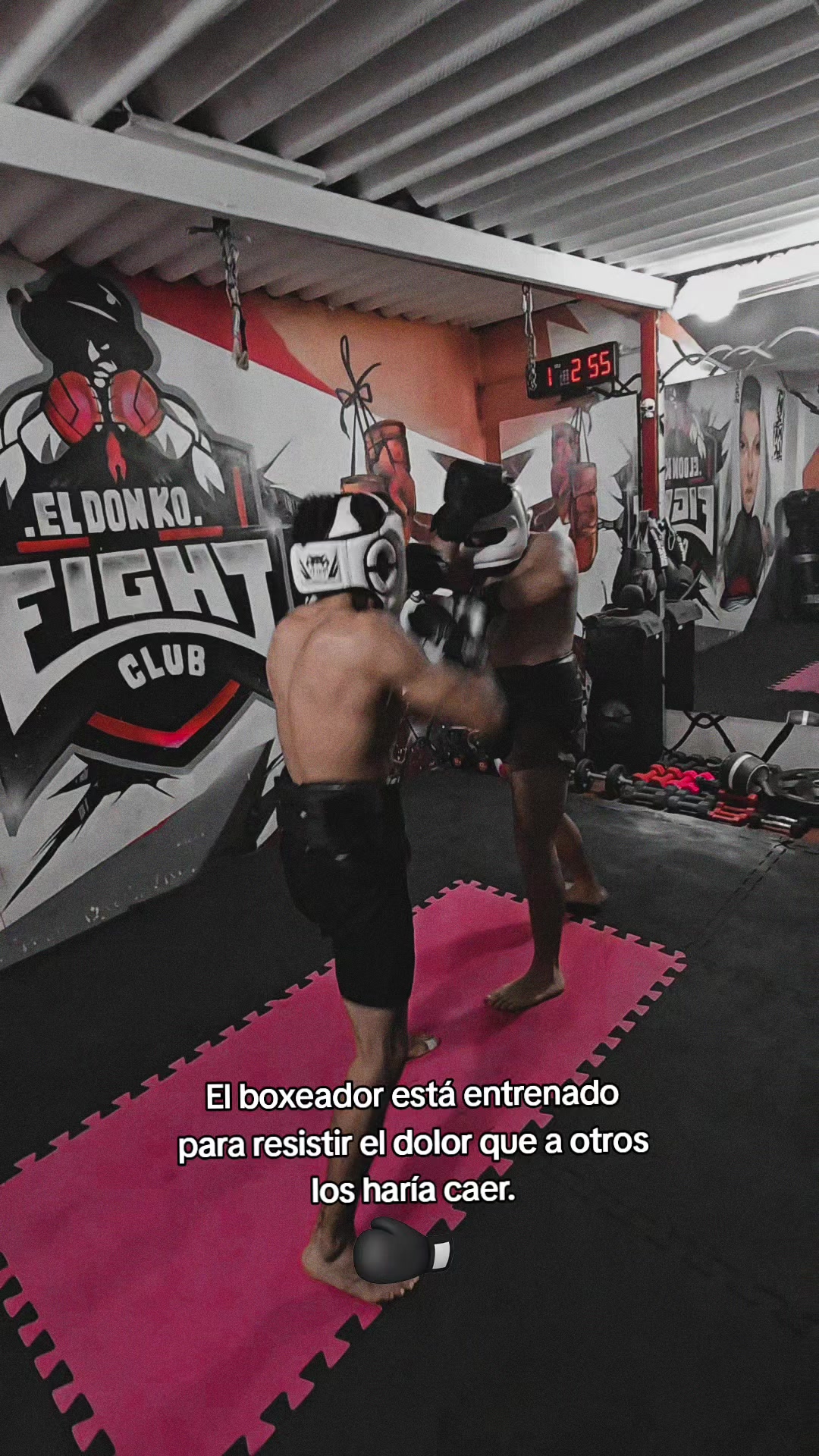 @EL DON K.O.🥊