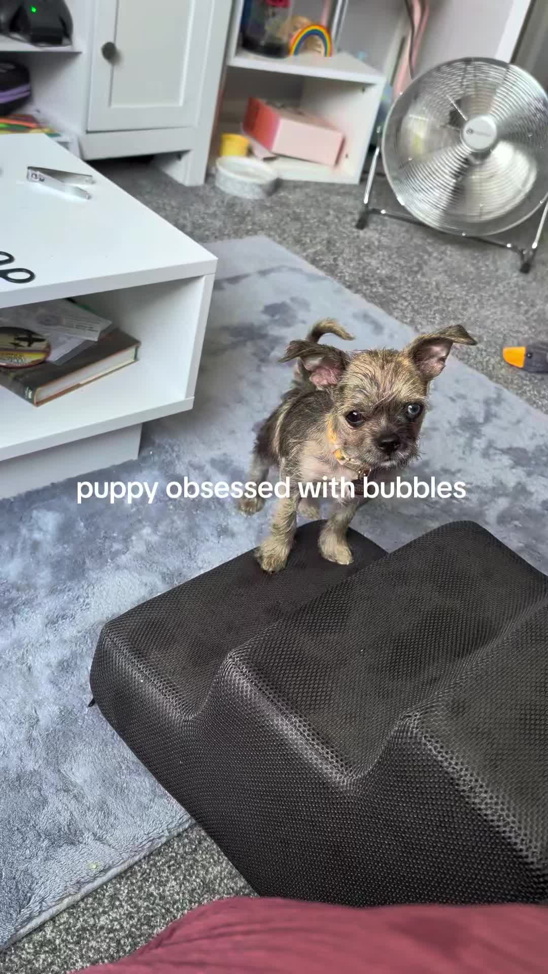 @Lauren🌈