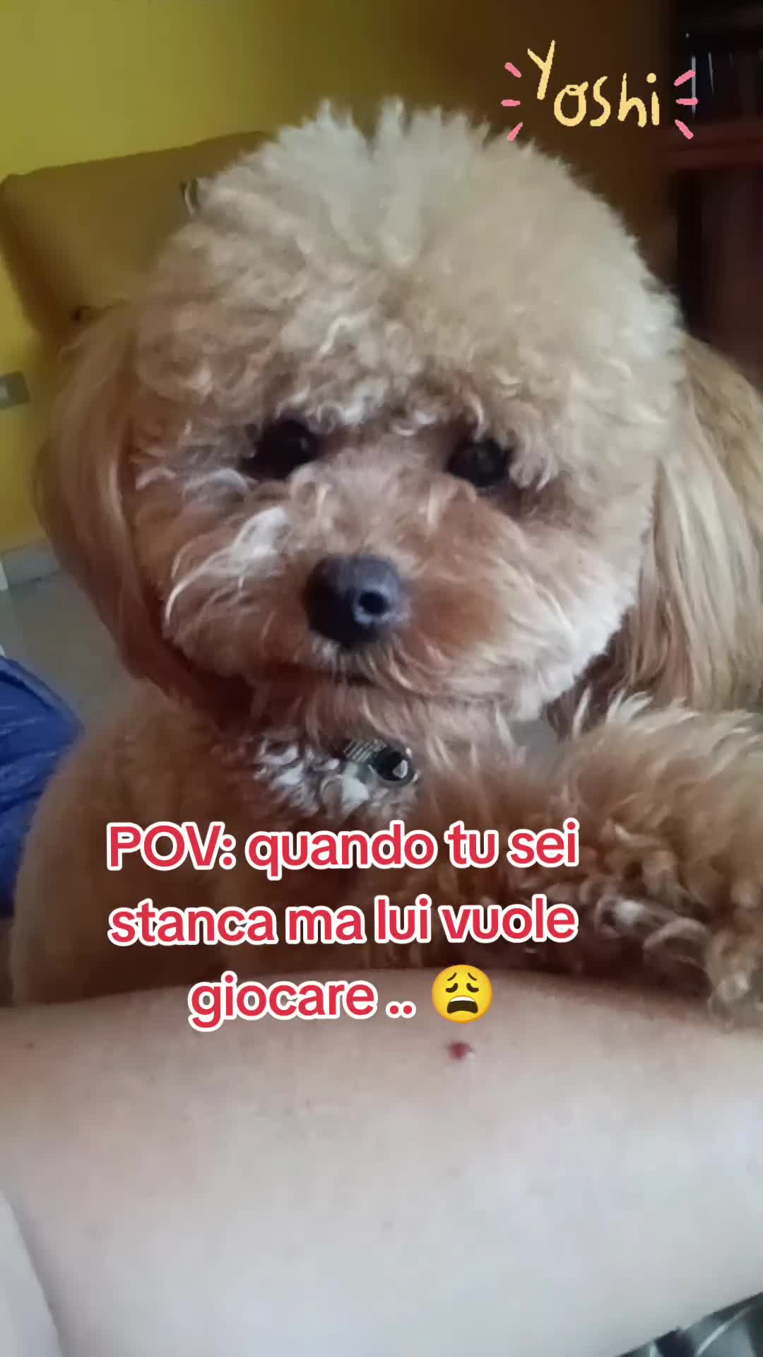 @♾️Rossana Calabrese❤️