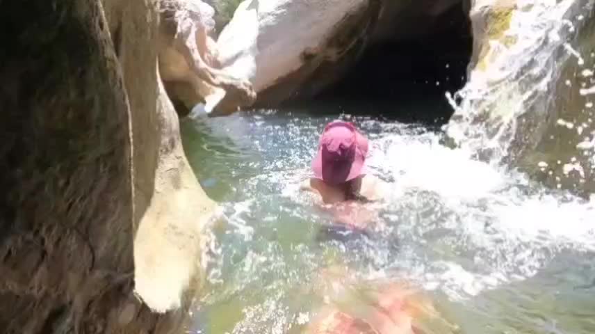 @Artemis_nature