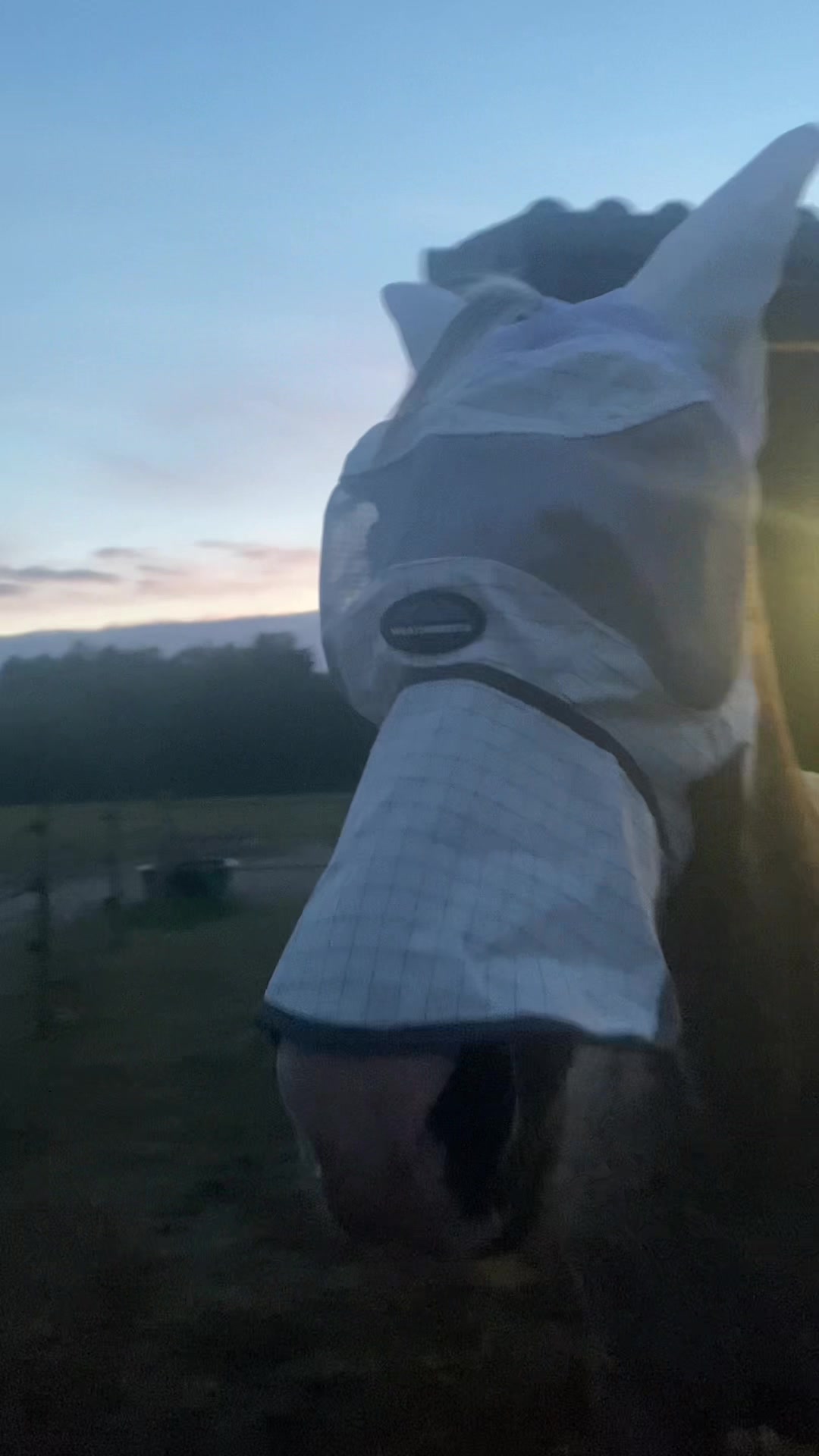 @emma.clv_eventing
