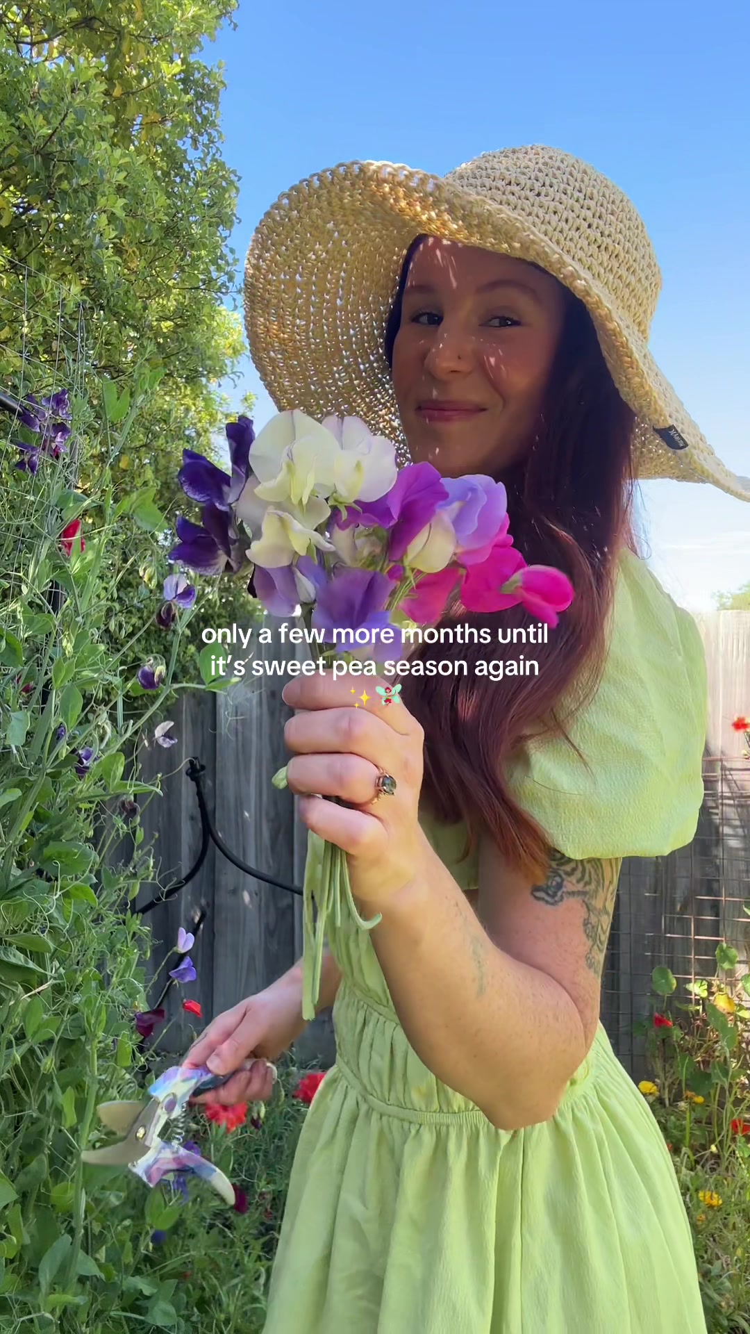 @HannahPurd 🦋