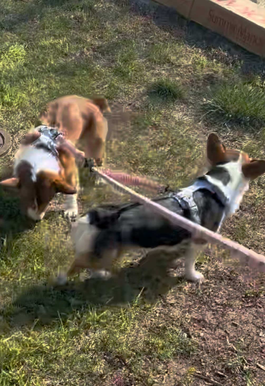 @NightmareNY