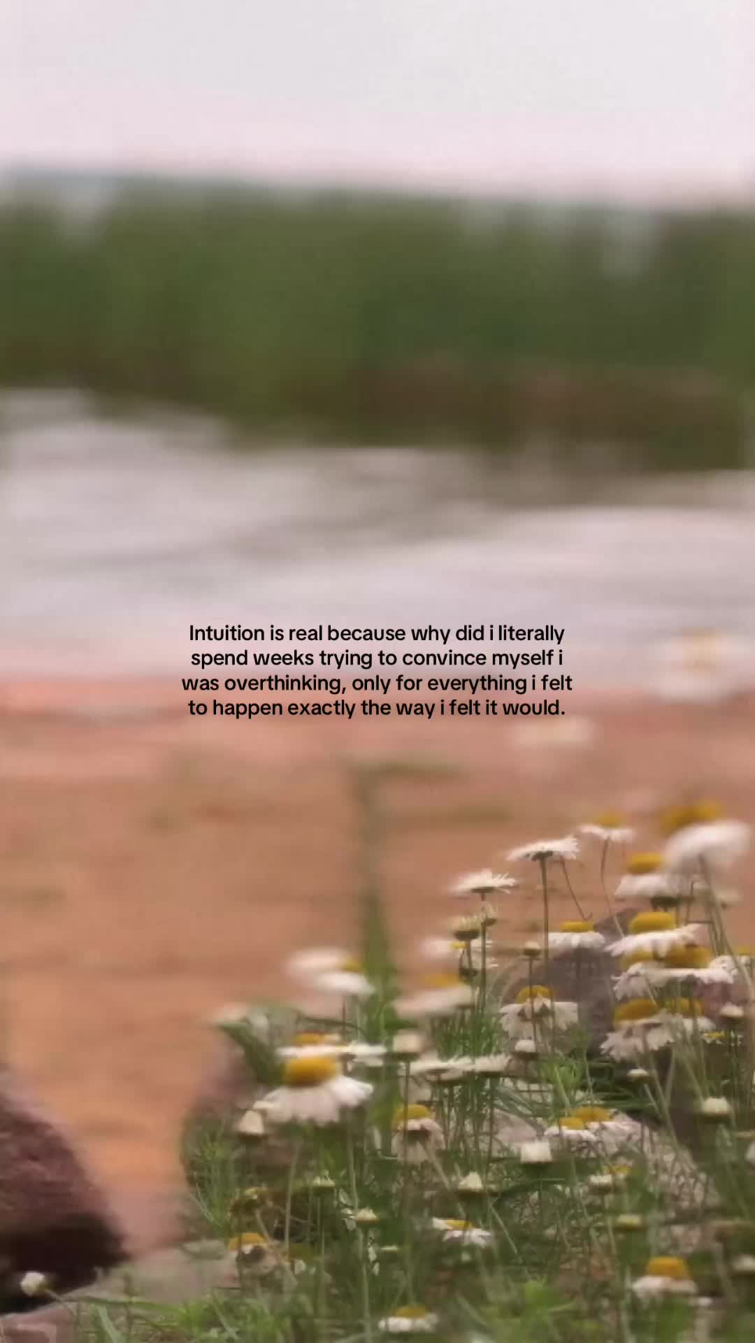 @tera 🍯 🐝