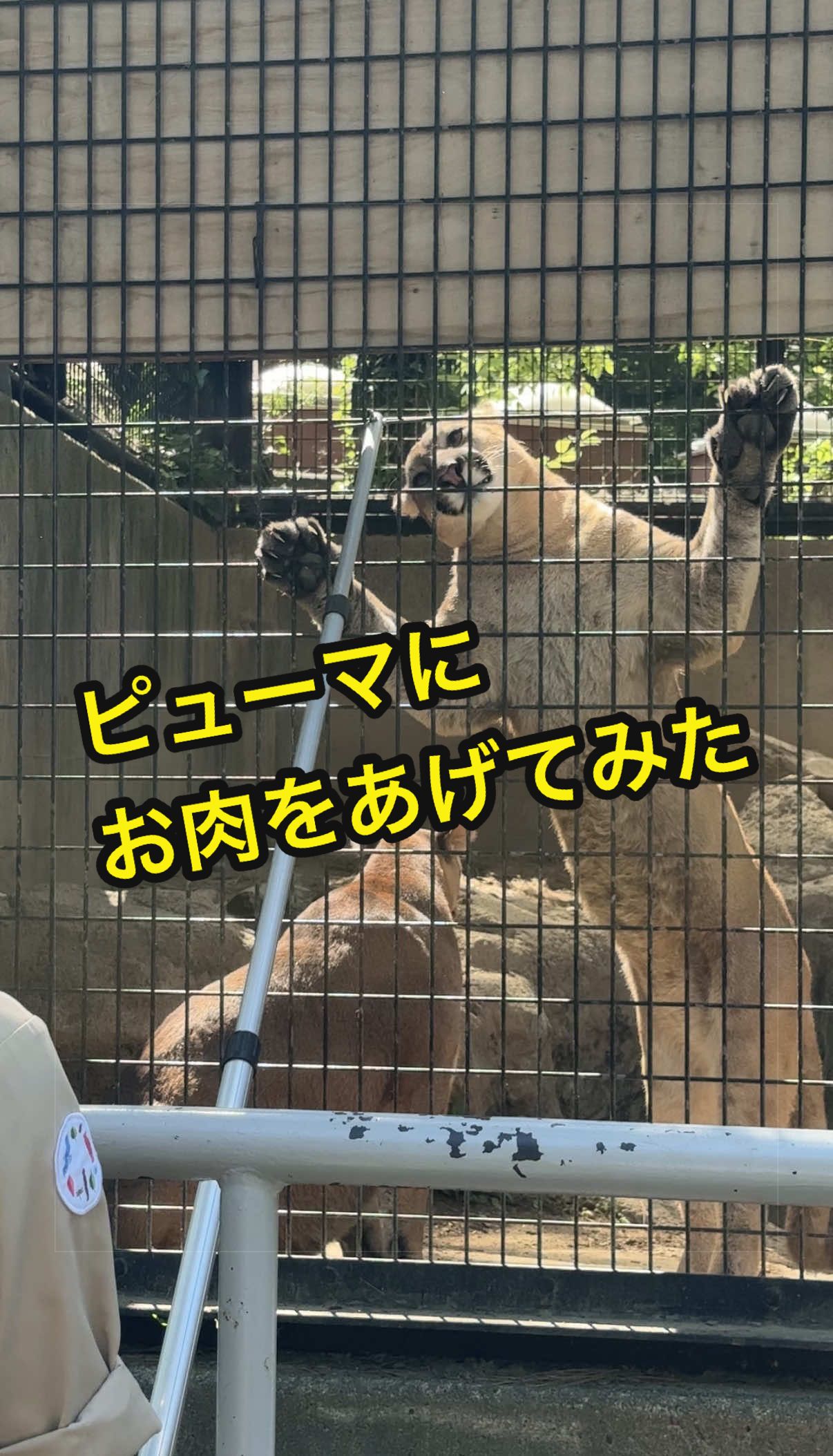 @minami