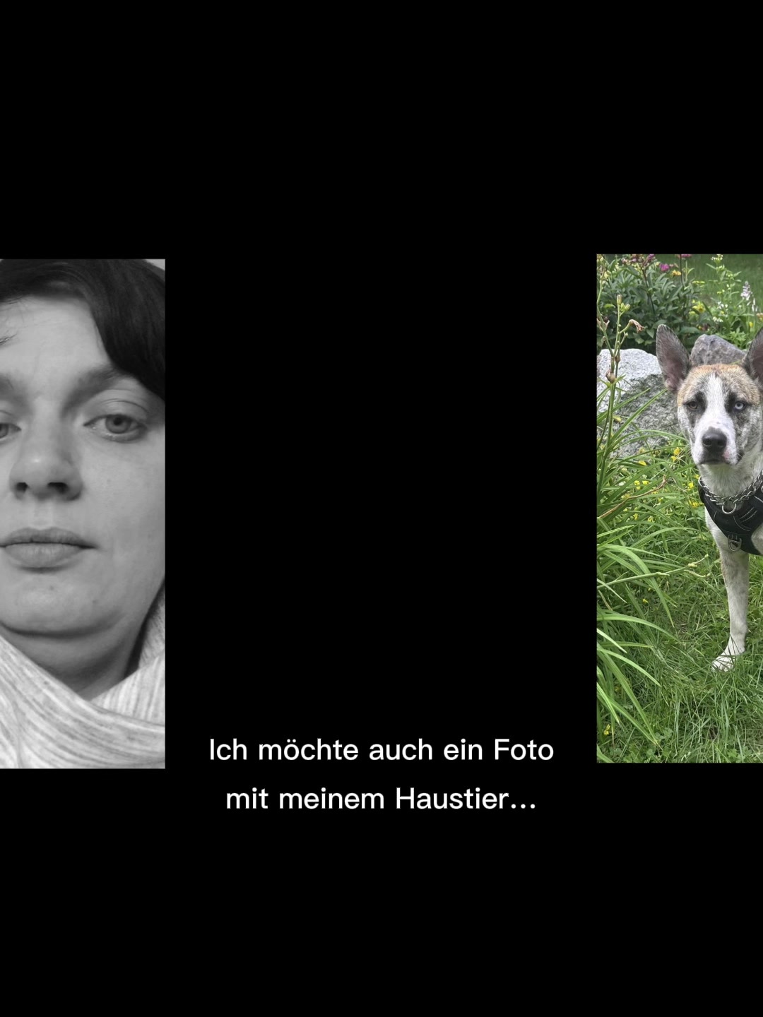 @❤️SeineFrau❤️