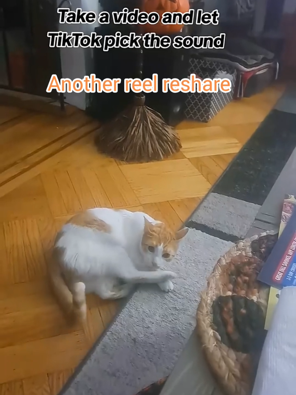 @Candice & Weasley