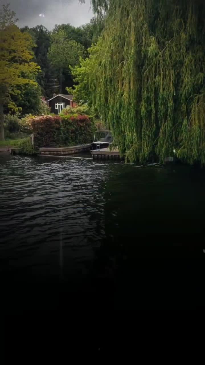 @amaan1949