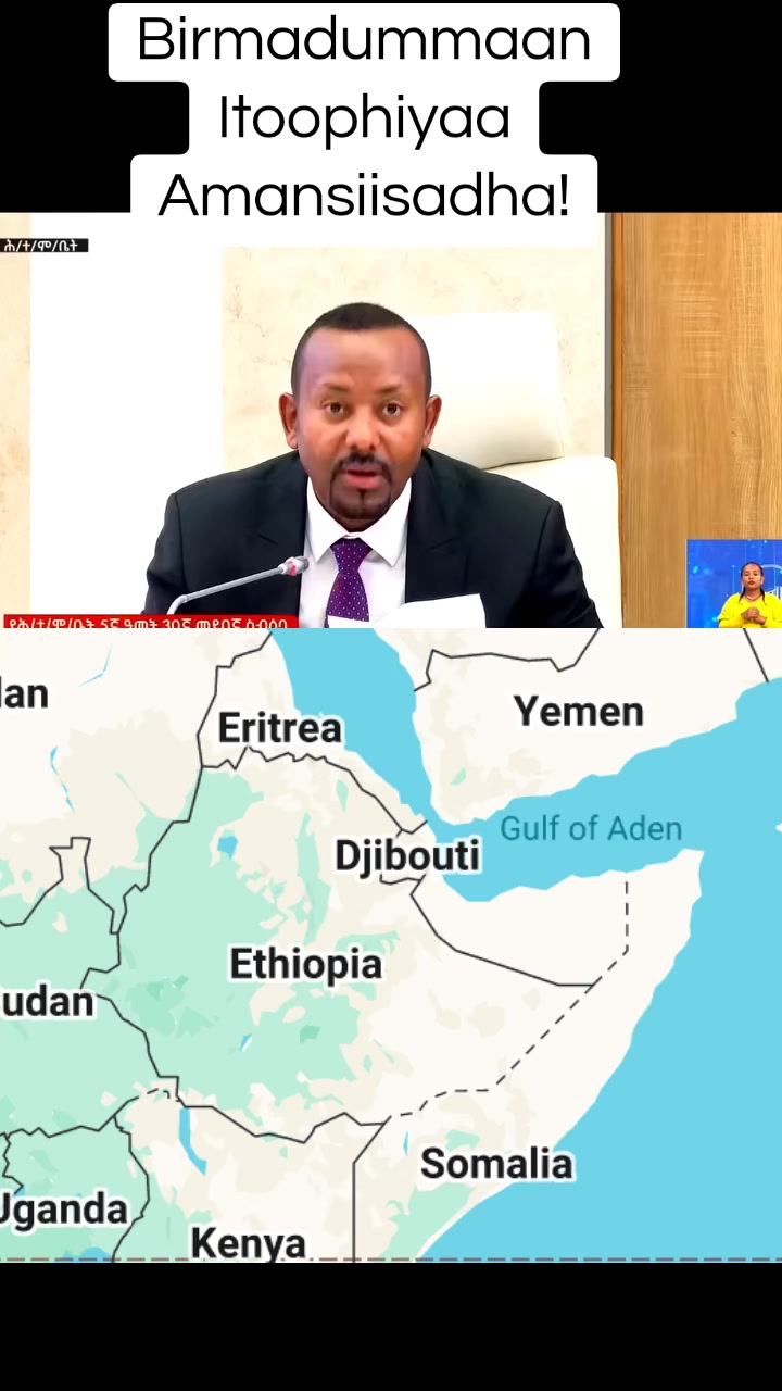 @Shimallis Abdisa Parody