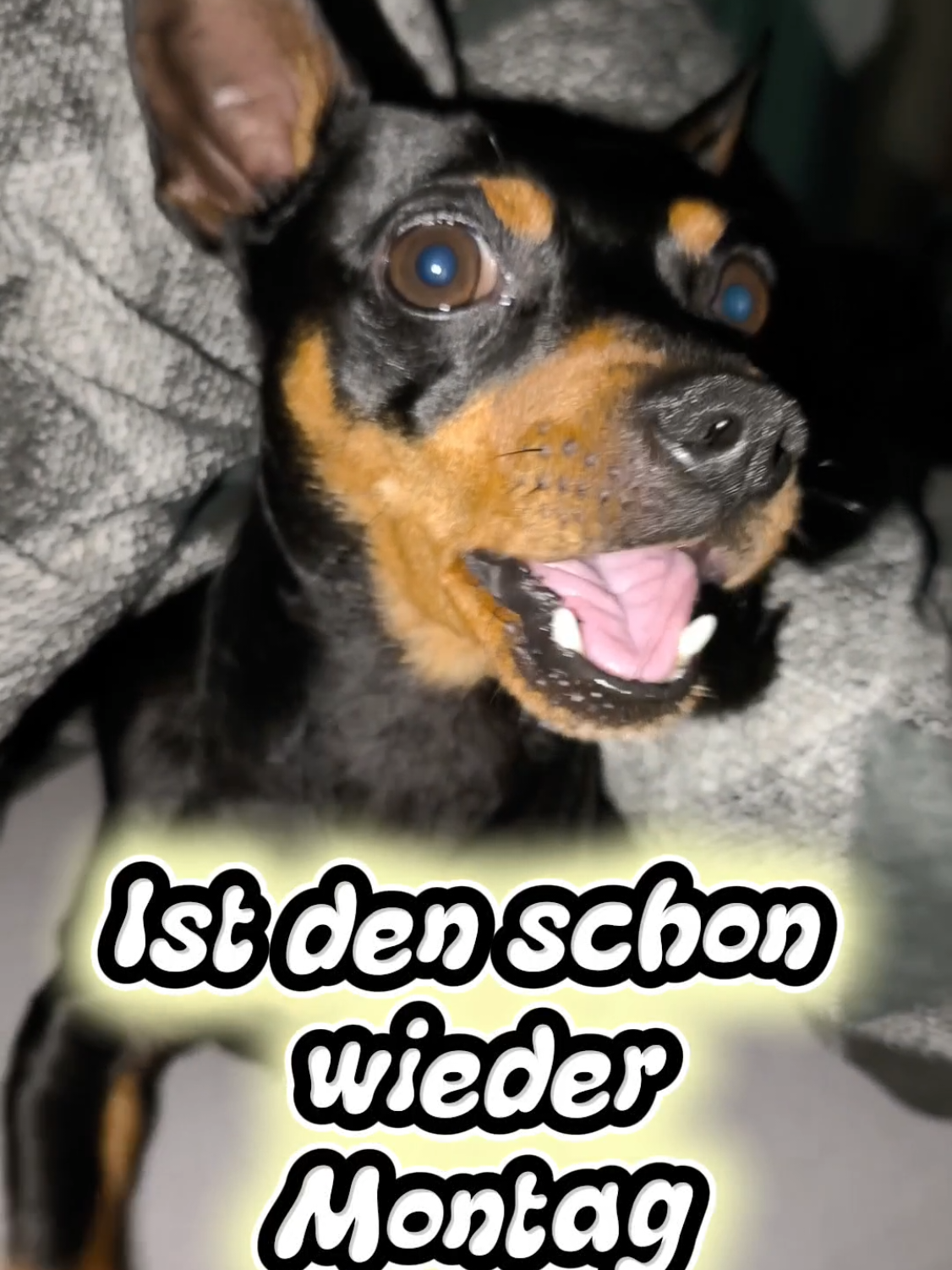 @ICH BIN'S