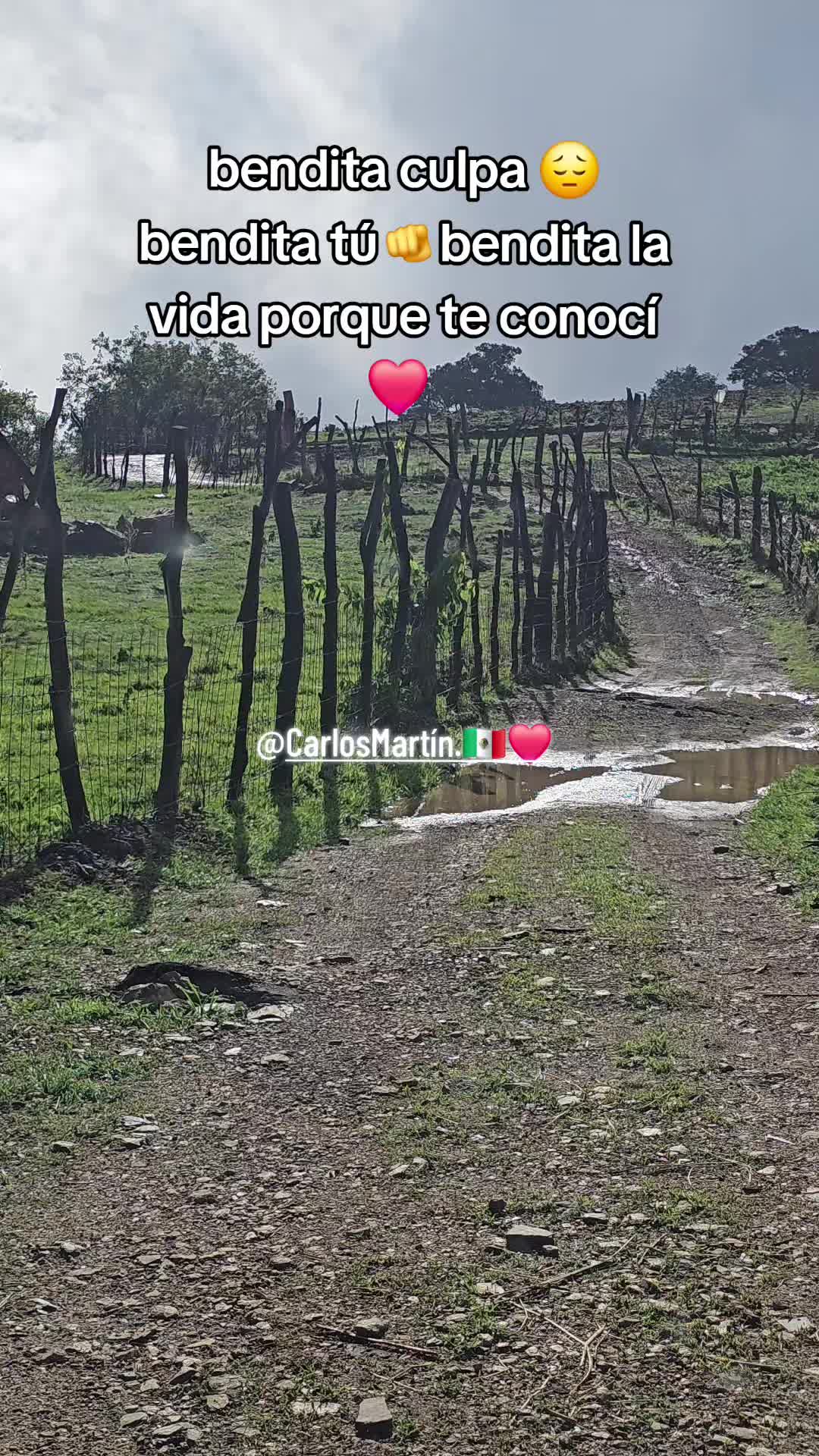 @CarlosMart&iacute;n.🇲🇽❤️