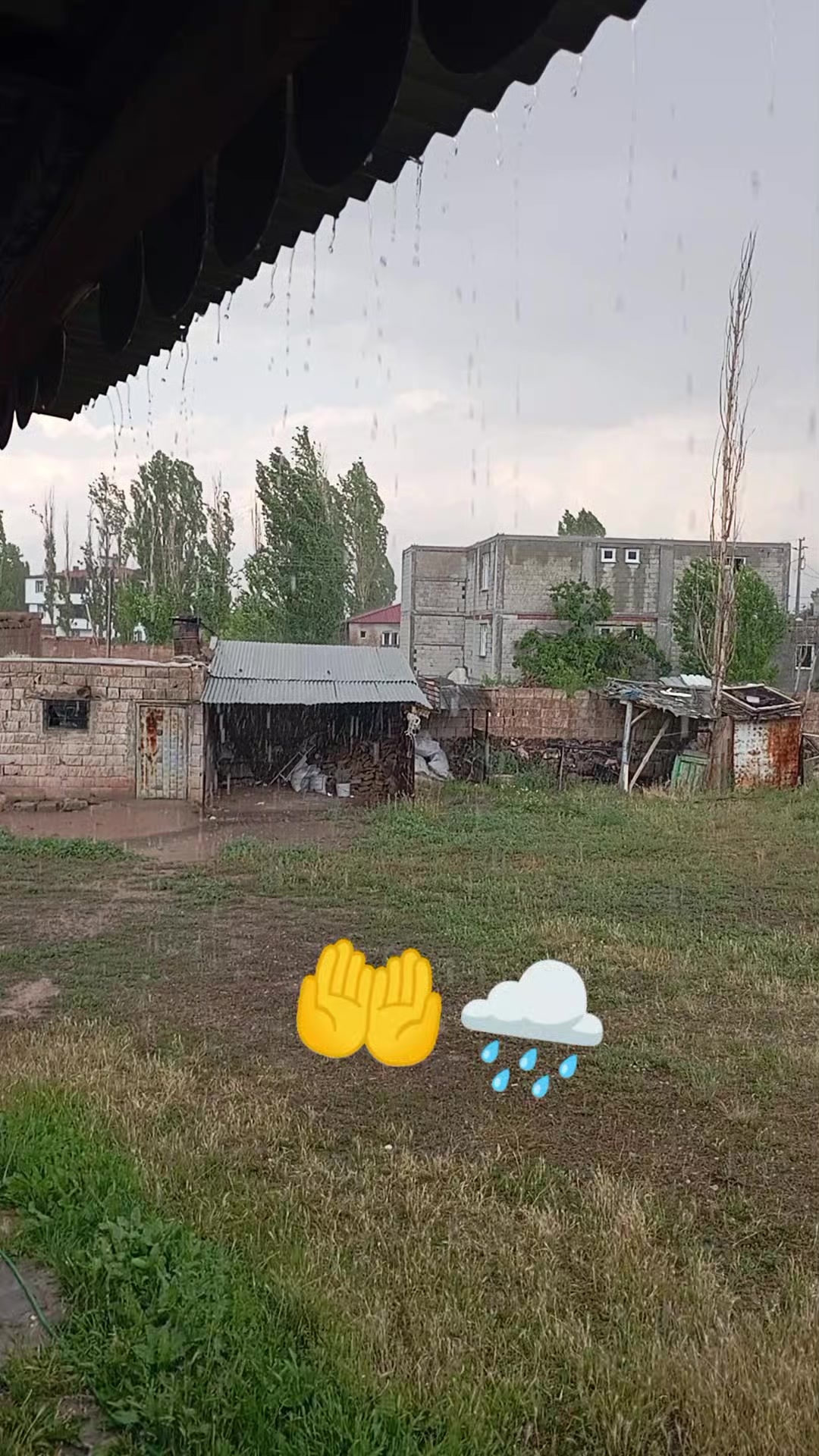 @bazidli adem04