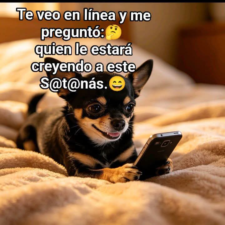 @22rose