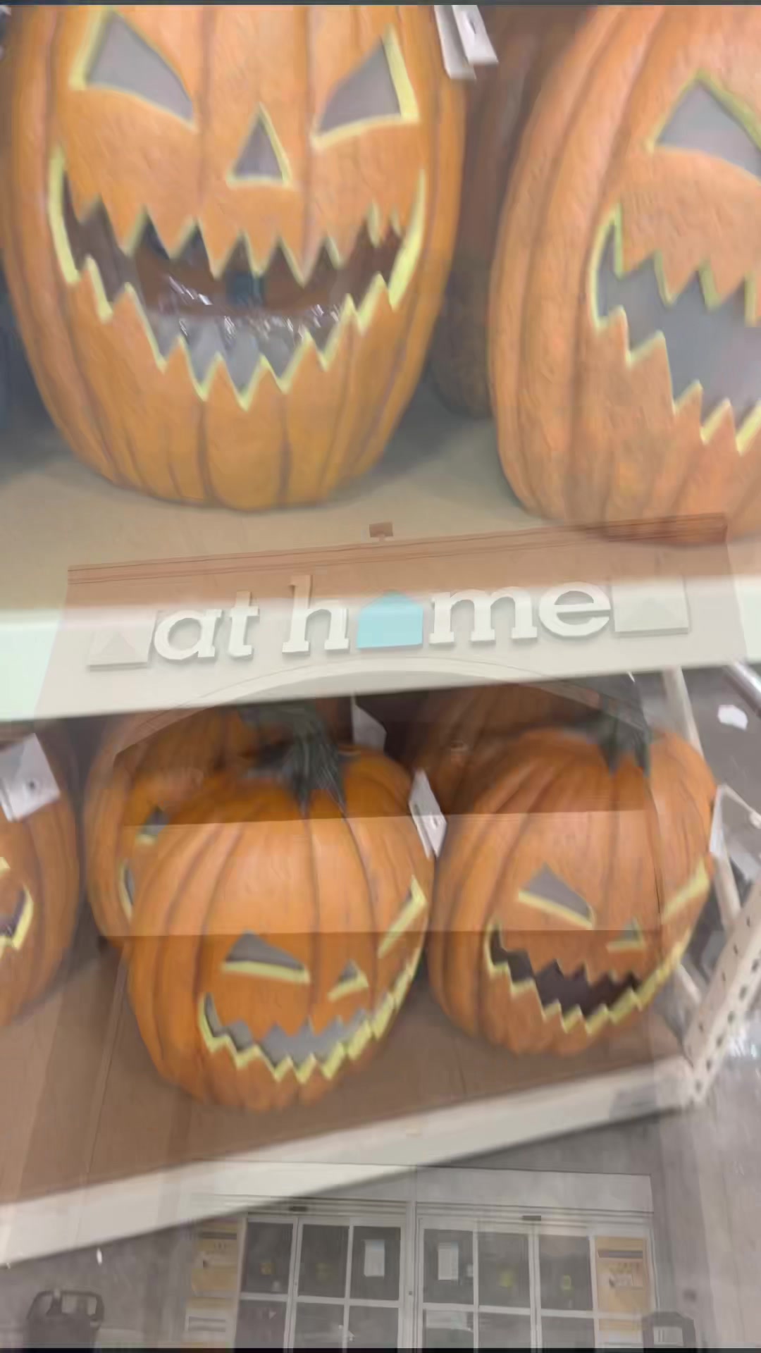 @SpookyBabe 🎃🦇🕸️