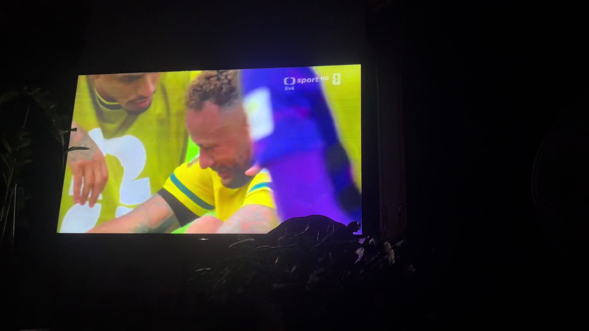 @Eli