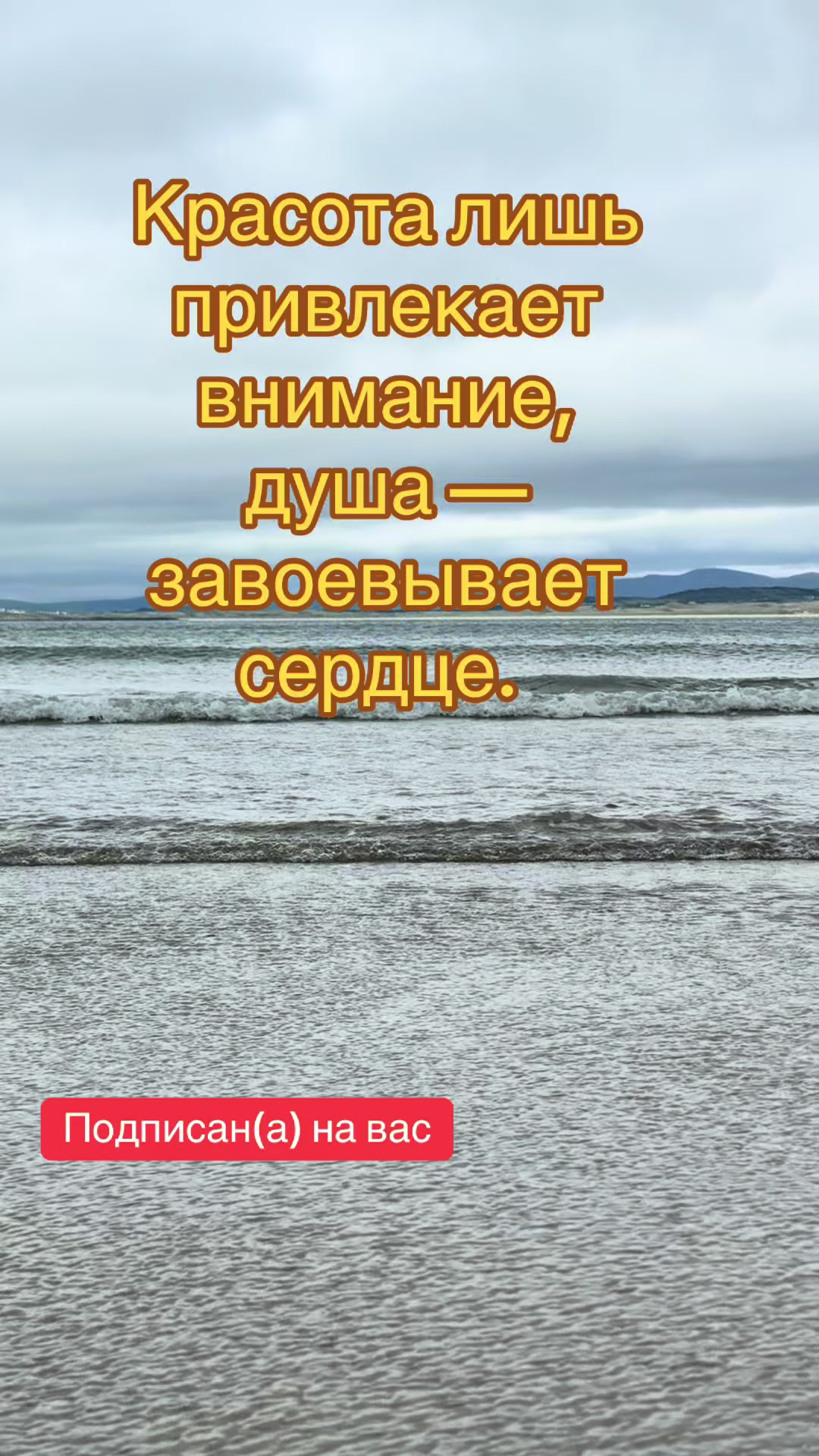@👑 Fedor_Fedorovich 👑