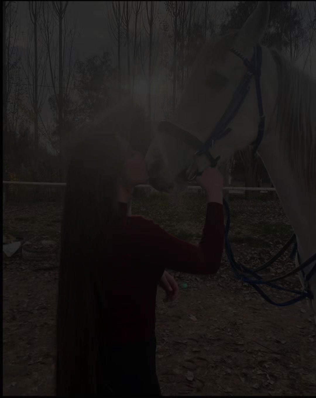 @❀Jana❀