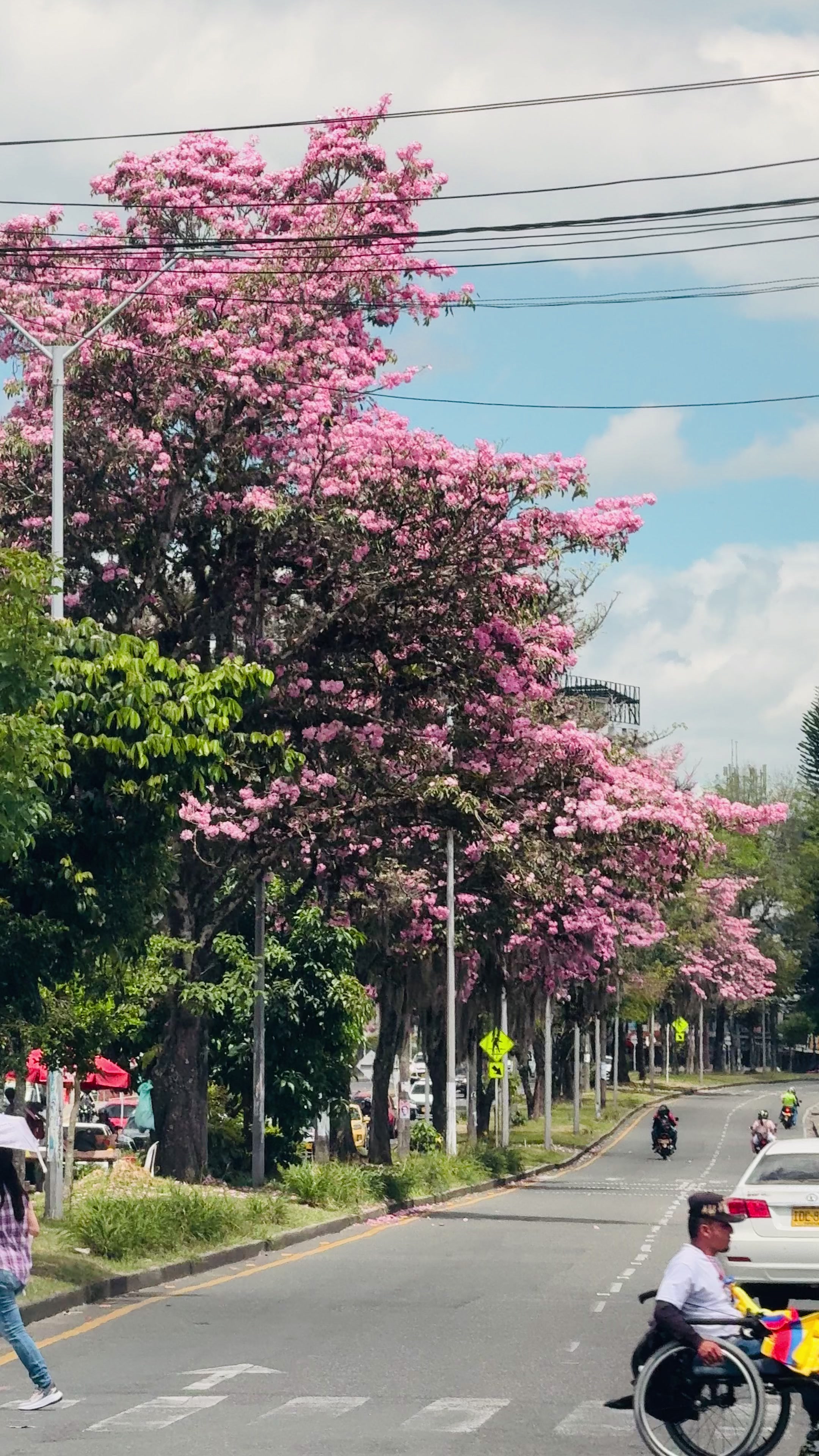 @Moto Planet