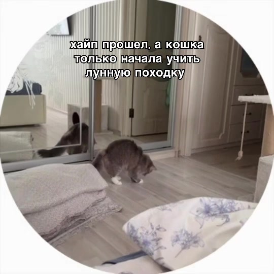 @novanikss