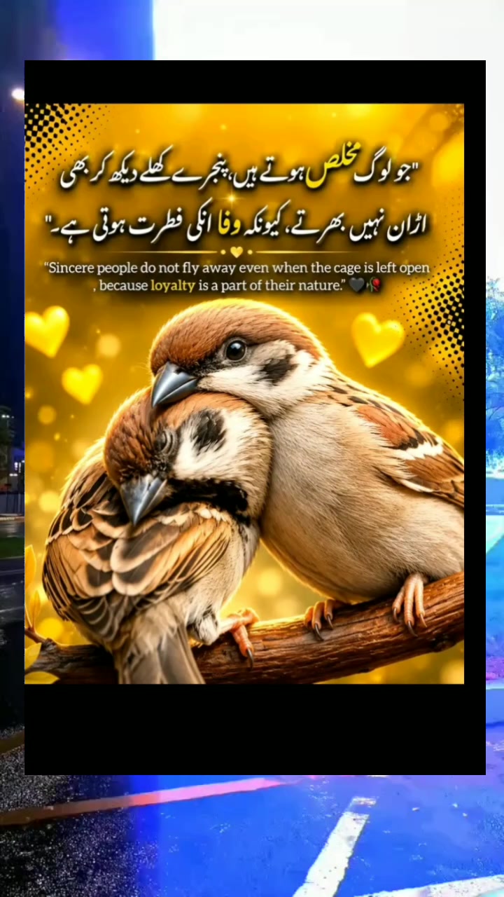 @❤️SalmanSaeed125❤️