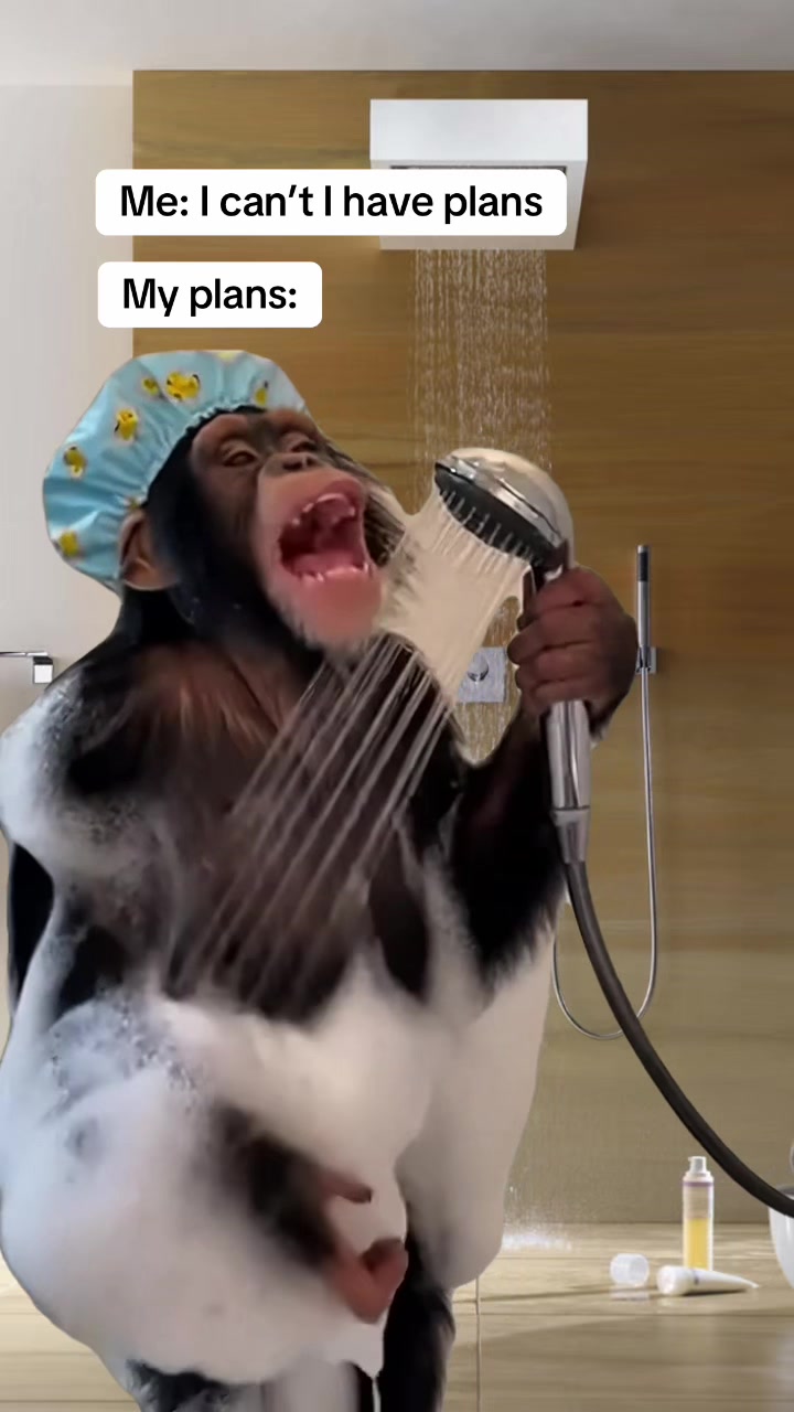 @Click Happy Memes