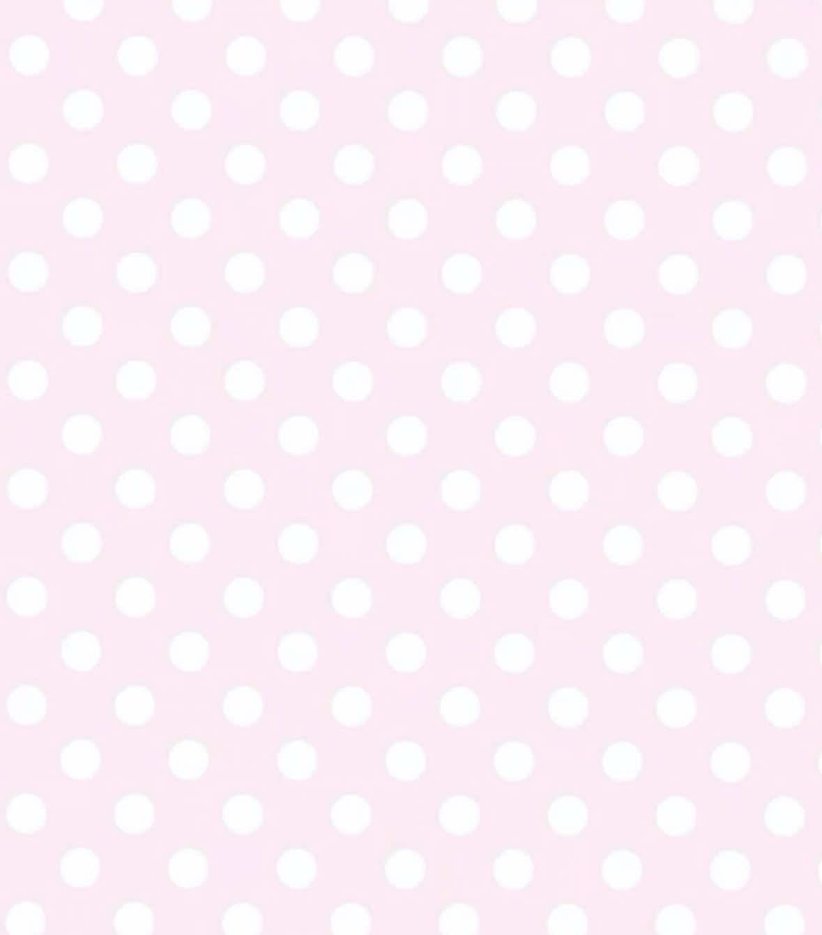 @꒰ঌ໒꒱ ˚₊ ℳ𝒾𝓈ℴ ₊˚🪽ෆ