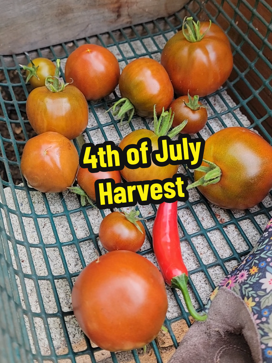 @Grateful_Gardening