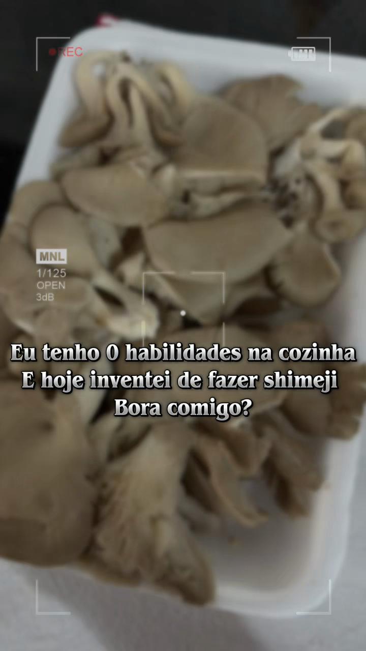 @Ingrid Fernandes