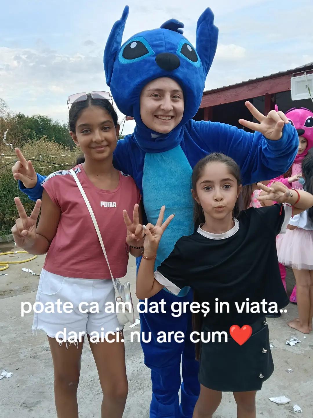 @Cristian Gogu