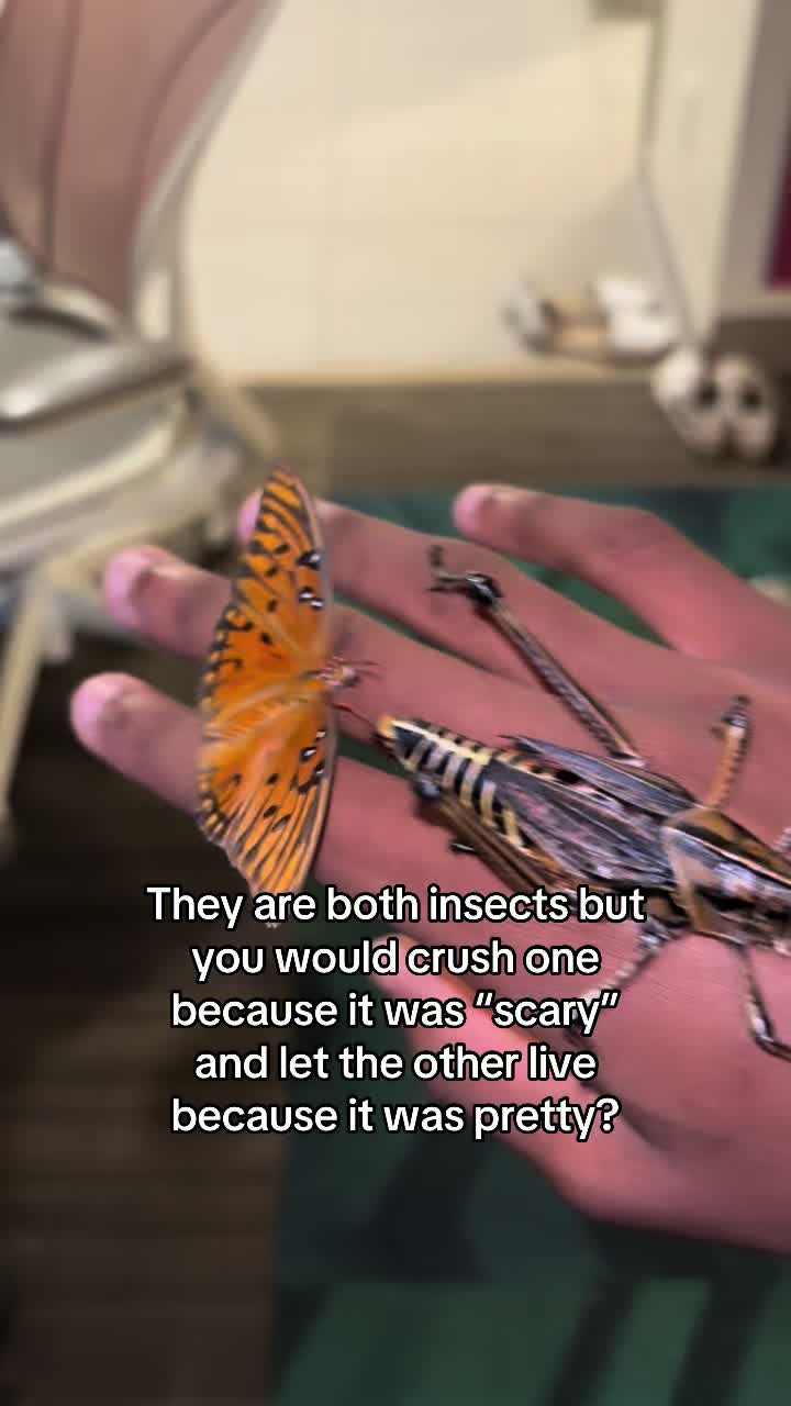 @Blake Moore🦋🦋🦋🦋🦋🦋