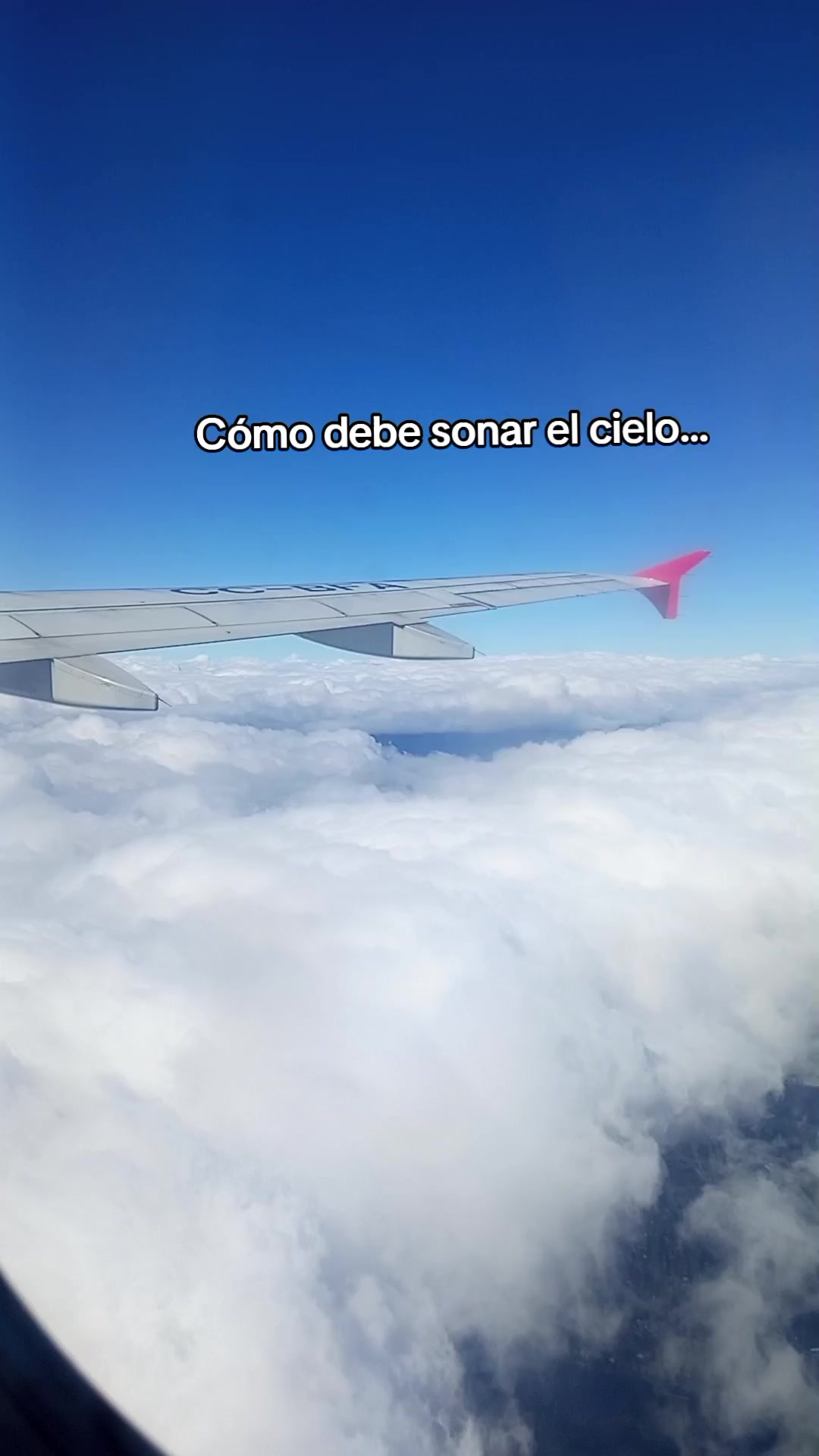 @🌸Vero🐱