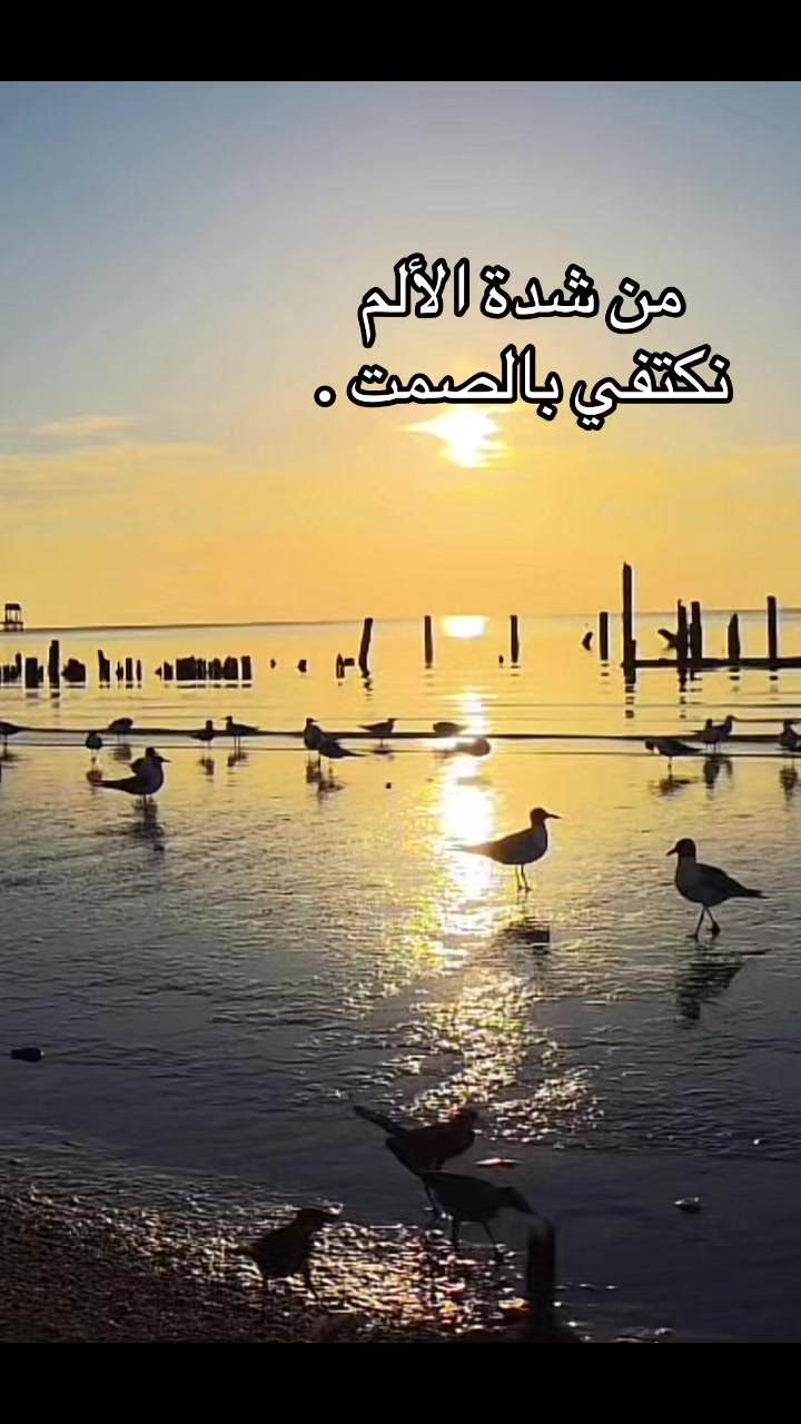 @Omfarouk_7