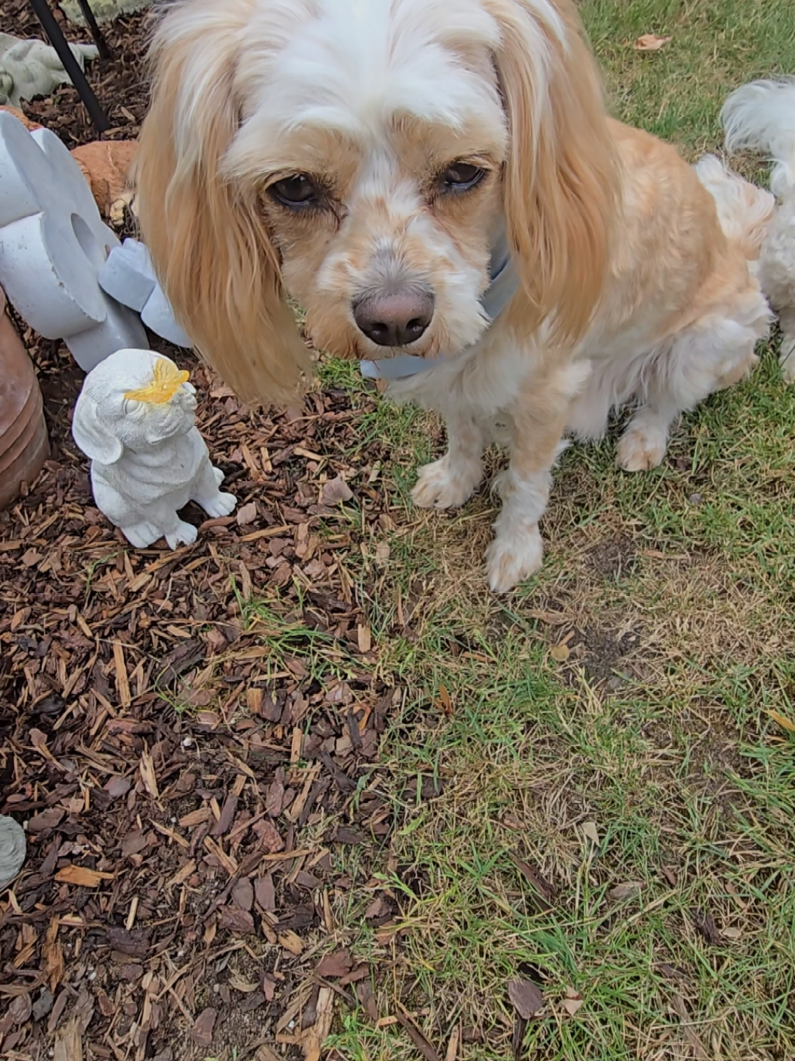 @Jazzy&Oscar's Hundeblog