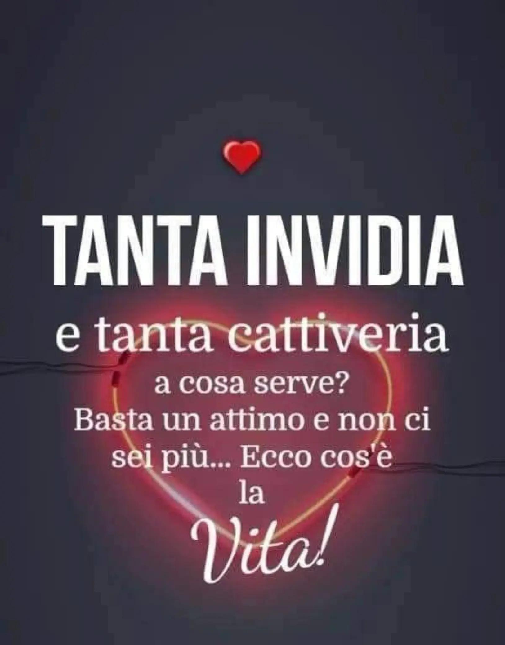 @vincenzapalmese16